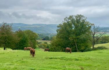 Ruhige Ferienwohnung auf dem Delcherhof in der Mosel-Weinregion - Foto 31