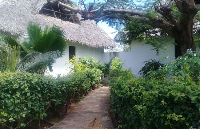 Lion Villa - Foto 17