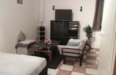 Schöne Studiowohnung, renoviert, zentrale Lage - Foto 2