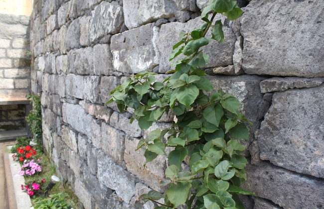 Casa da Cisaltina - Foto 72