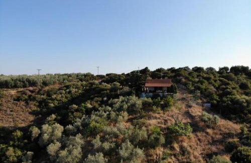 Real Holidays Antoniadou - Rustic House - Foto 54
