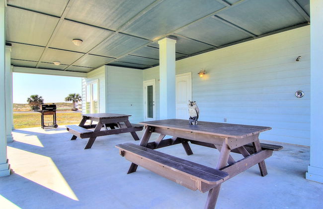 The Blue Pearl - Foto 32