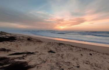 Villa Cocoon Contis océan à 900m - Foto 16