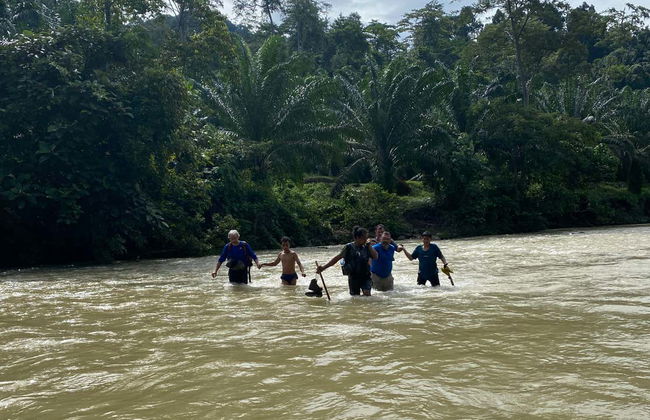Observation d'orangs-outans à Gunung Leuser en 3 à 4 jours - Photo 10
