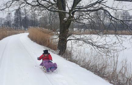 Nasz Dębowiec - dom dla 15 osób, sauna, widok na staw, wielka działka - Photo 77