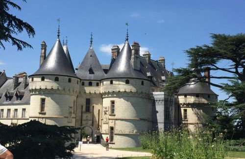 Gîte élégant avec grand jardin privé, idéalement situé près des châteaux et activités, tout inclus - FR-1-491-358 - Foto 18