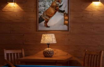 Aparthotel Chiemgaufuchs - CHIEMGAUKARTE - Foto 58