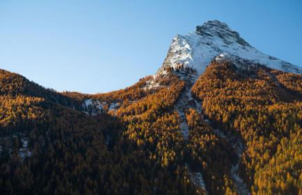 Agriturismo Plan de la Tour B&B - Photo 16