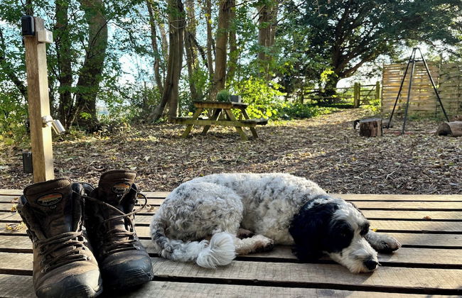 Woodland Cabin Retreat in Alfriston - hot tub - Foto 7