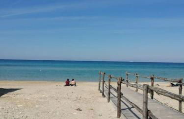 Domaine des Palmiers - Foto 26