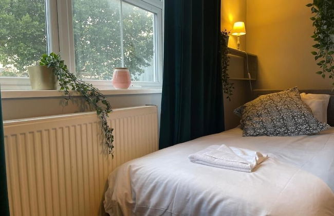 Brighter Properties - Photo 10