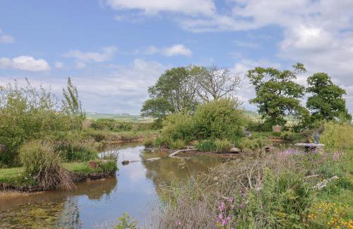 Yeabridge Farm - Foto 45