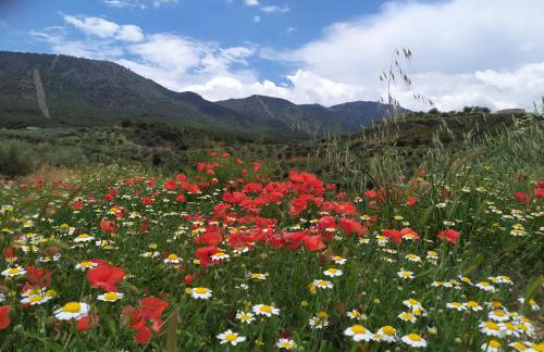 Cortijo Don Enrique - Foto 52