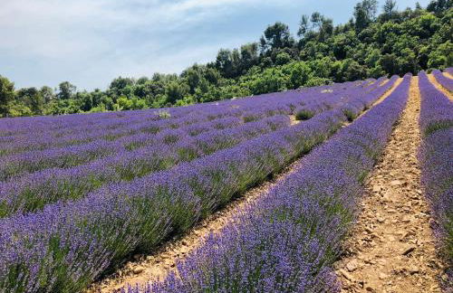 La Bastide de Villecroze - Foto 25