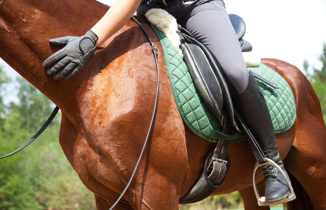 Lida Garden - Foto 51