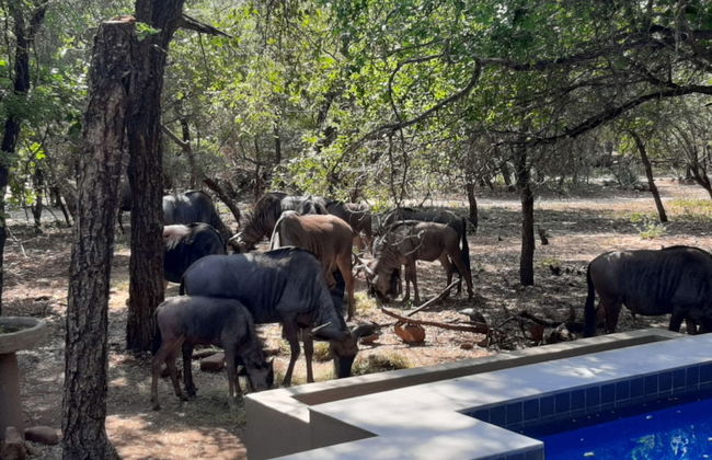 African Sky Villas - Photo 78