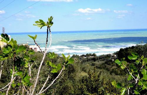 Residenza Piccolo Uliveto - Foto 33