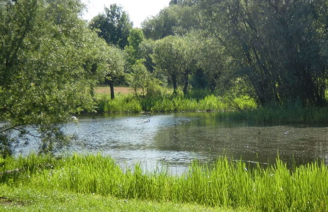 Elbwiesenhaus Modern Retreat - Foto 36