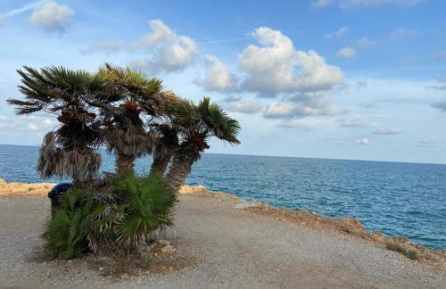 Tros de mar - Foto 24