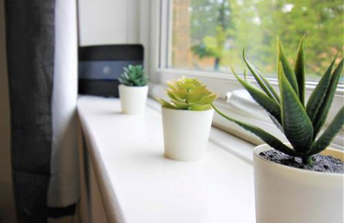 H21 -3 bed Close to Town Drive Parking 2 toilets Contractor Digs - Photo 20