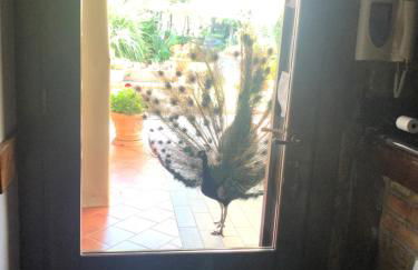 Agriturismo La Baita - Foto 55