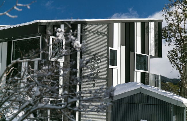 Elk at Falls - Photo 65