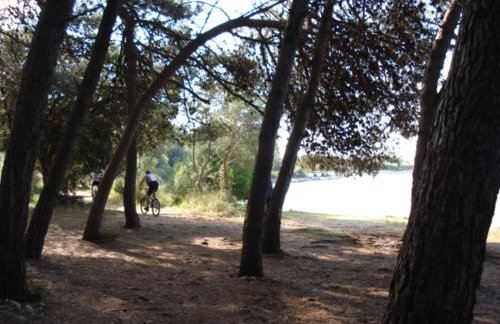 Apartments with garden - Foto 43