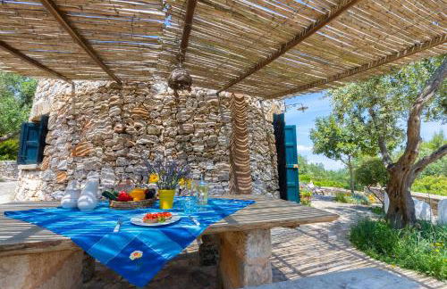 Pajara Rugiada - Foto 37