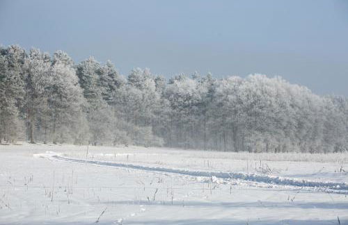 MCDreyer Ferienwohnung - Foto 45