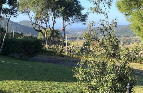 Wild sud Sardinia - Foto 23