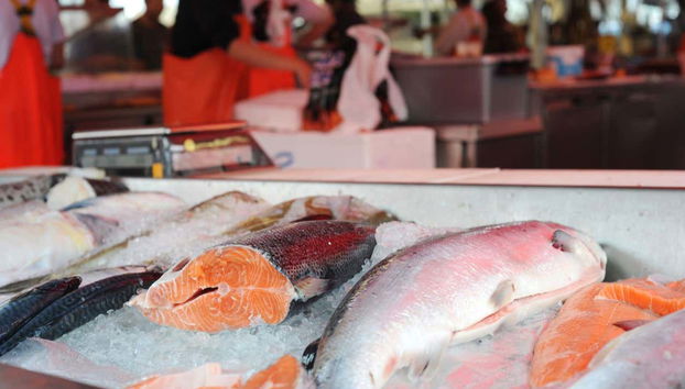 Tour in Bergen - Photo 3