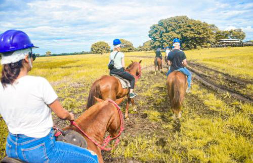 Pousada São João - Estrada Parque Pantanal - Photo 25