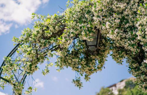 Villa Sant'Alfonso - Photo 12