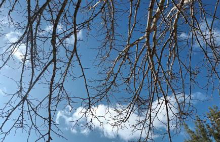 Casa na Floresta - Foto 38