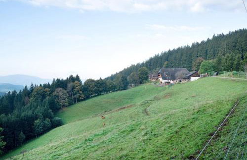 Kapfenmathishof Urlaubsbauernhof - Foto 56