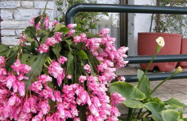 Orfeas -Vacation Home - Foto 27