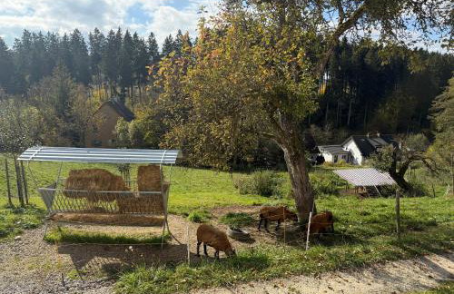 Apartment in Bodenseenähe - Foto 20