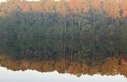 Ultimate Backyard Oasis, Heated Pool, Spa and Lake - Foto 30