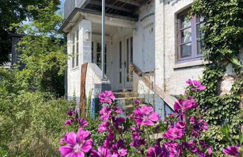 Deichliebe ÖKOlogisch - Foto 1