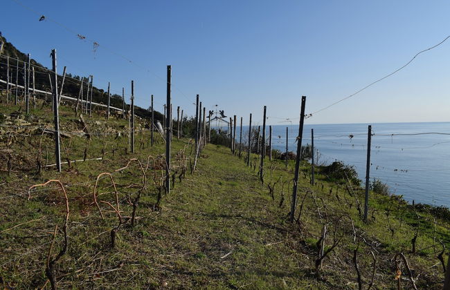 Ca' del Monica Guesthouse - Foto 28