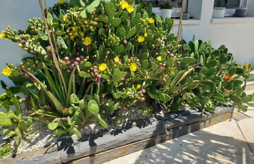 Studio Zure Ondoan - SPA et piscine chauffée - Foto 17