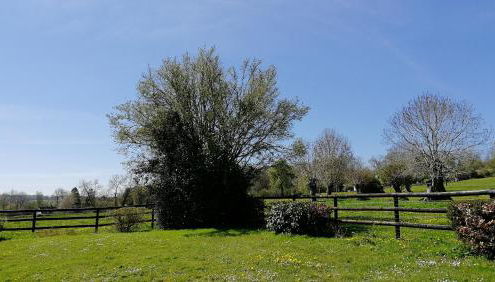 Le cottage du Coudray, gîte avec chalet sauna - Foto 3