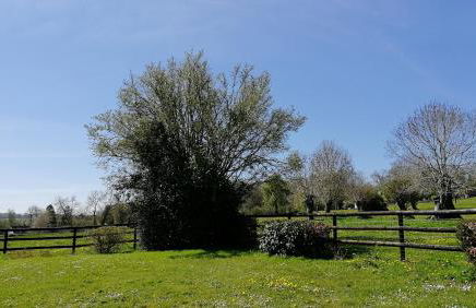 Le cottage du Coudray, gîte avec chalet sauna - Foto 3