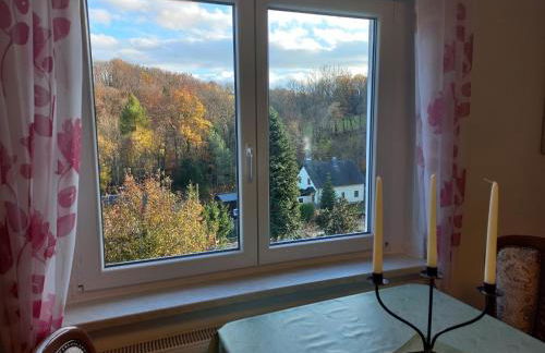 Ferienwohnung Erzgebirgswohnung Götze - Foto 10