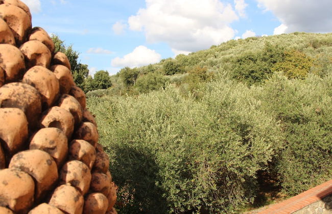 Agriturismo Borgo Santa Lucia, Villa Mimosa - Photo 32