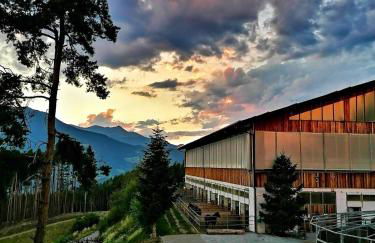 Oberprantschöllhof - Horse Mountain Stable - Foto 12