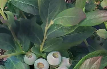 CAMPO DE SOBARBO - Guest House rural - Photo 43