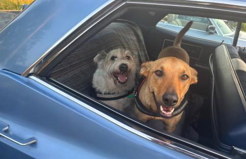 dla mnie się podoba - Foto 64