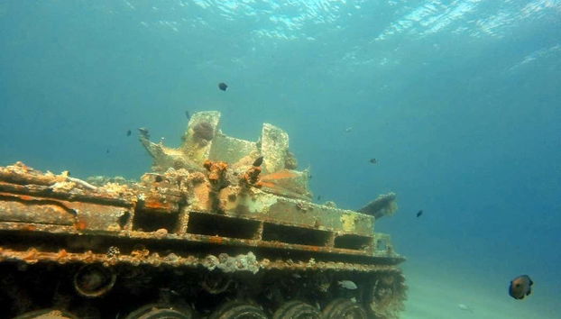 Red Sea Snorkelling Experience - Photo 2