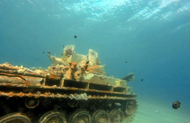 Snorkeling dans la mer Rouge - Photo 4